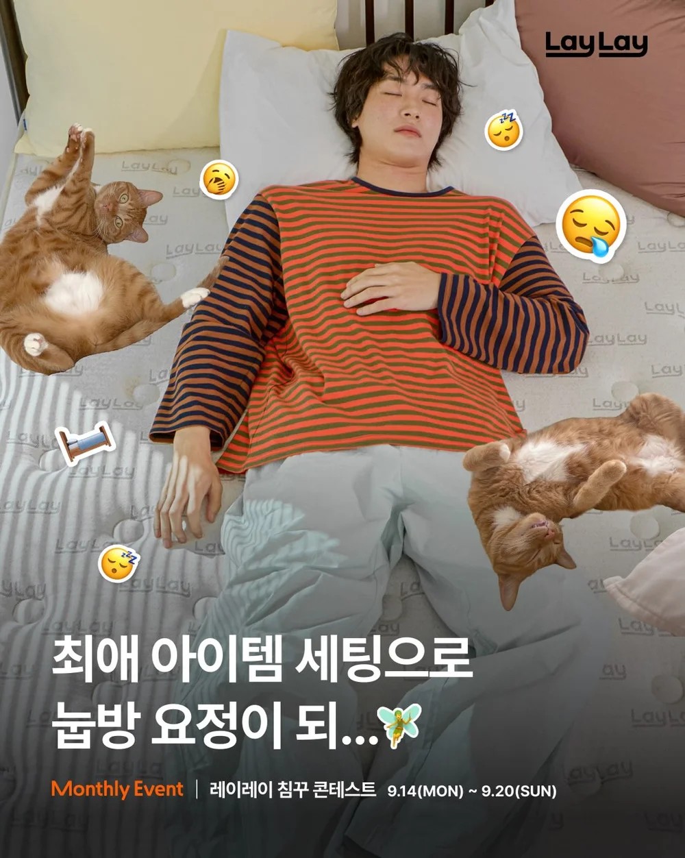 [레이레이] 레이레이 침꾸 콘테스트 행사 이미지