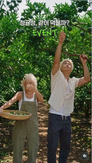 [ 제주아이 ] 청귤청 취향 댓글로 제주 청귤청 받아가자 이벤트!! 행사 이미지
